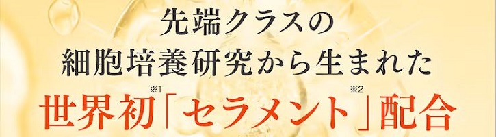 �G�|���y�A�G�b�Z���X�i�C�g�E�H�[���ɂ���